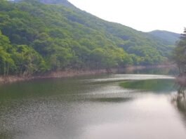 언제나 천만칸 집을 지을꼬(24)