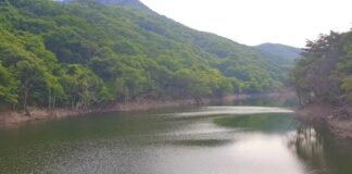 언제나 천만칸 집을 지을꼬(24)