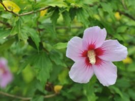 존재냐 술이냐 그것이 문제로다!