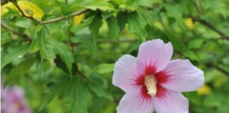 존재냐 술이냐 그것이 문제로다!