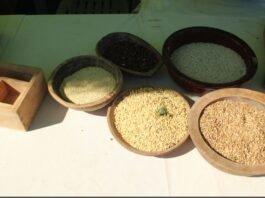 백주(白酒) 스토리텔링 및 술 빚는 법