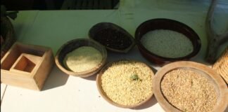 백주(白酒) 스토리텔링 및 술 빚는 법