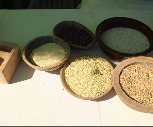 백주(白酒) 스토리텔링 및 술 빚는 법