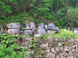 어여 물럿거라 ‘不淨 탄다’