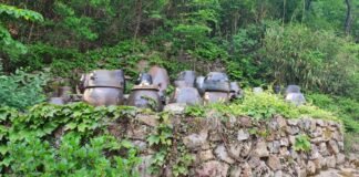 어여 물럿거라 ‘不淨 탄다’