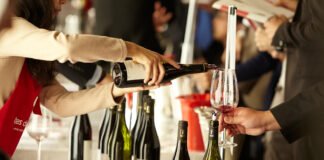 와인의 맛과 향