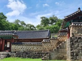 임진강 사람들이 술 마시는 법(1)