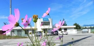 고향이 어디냐고 묻지 마세요