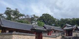 임진강 사람들이 술 마시는 법(2)