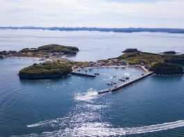 올 가을엔 죽도로 가볼까?