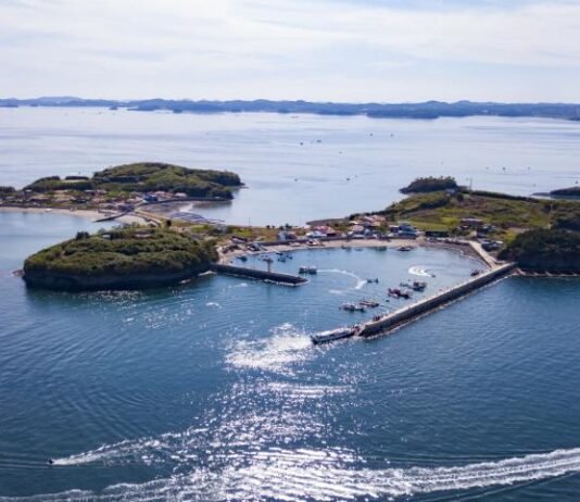 올 가을엔 죽도로 가볼까?