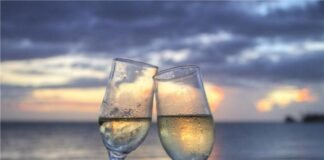 10월의 어느 멋진 날에 음미하는 와인 한잔의 사색