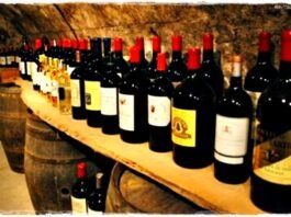 세계 여러 나라의 와인