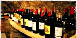 세계 여러 나라의 와인