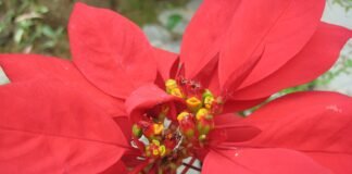 풋영감들의 수다