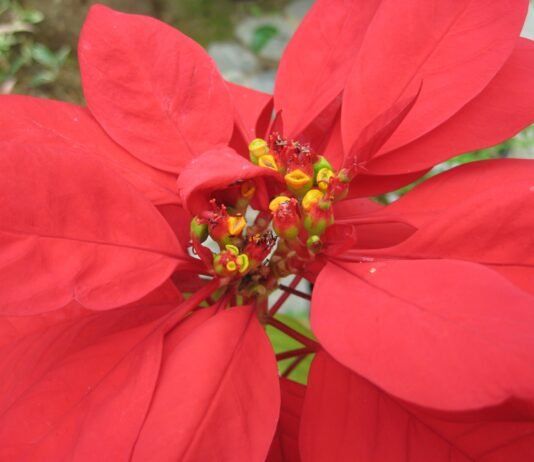 풋영감들의 수다