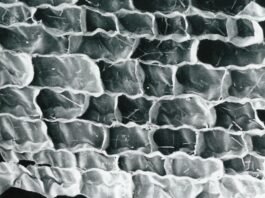 잘못된 와인상식