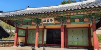 임진강 사람들이 술 마시는 법(3)