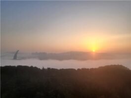 새해 세종, 금강의 일출을 바라보며