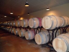 새 술은 새 부대에