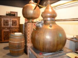 전통주의 명품화를 위하여(1)