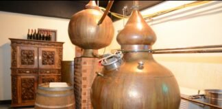 전통주의 명품화를 위하여(1)