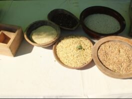 분국백료주(笨麴白醪酒) 스토리텔링 및 술 빚는 법