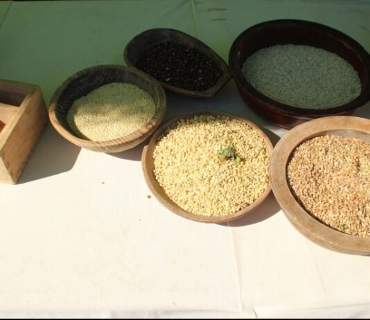 분국백료주(笨麴白醪酒) 스토리텔링 및 술 빚는 법