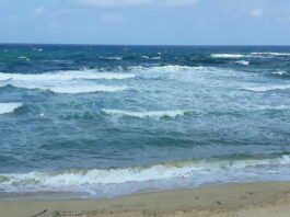 지혜로운 음주는 무엇인가