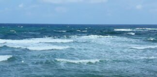 지혜로운 음주는 무엇인가