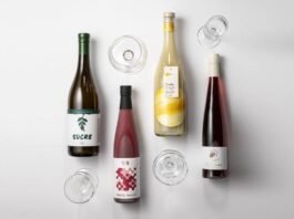 편의점 시장에서의 전통주 위치