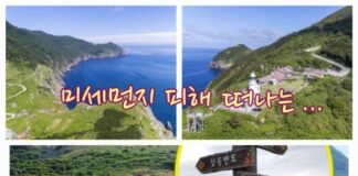 이 봄에 가거도나 가볼까?