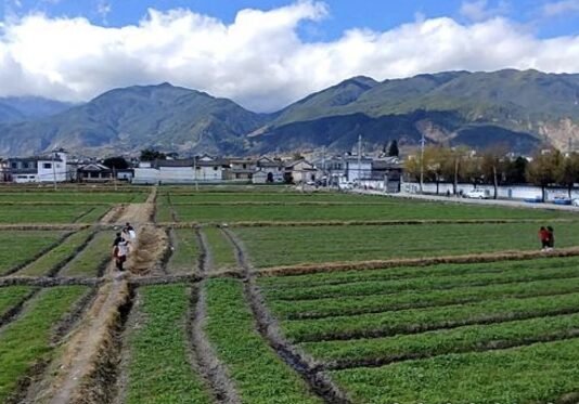 윈난(雲南)의 자연을 거닐고 싶다