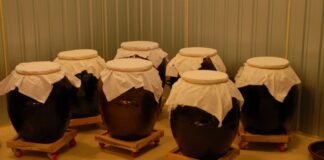 비주(飛酒) 스토리텔링 및 술 빚는 법