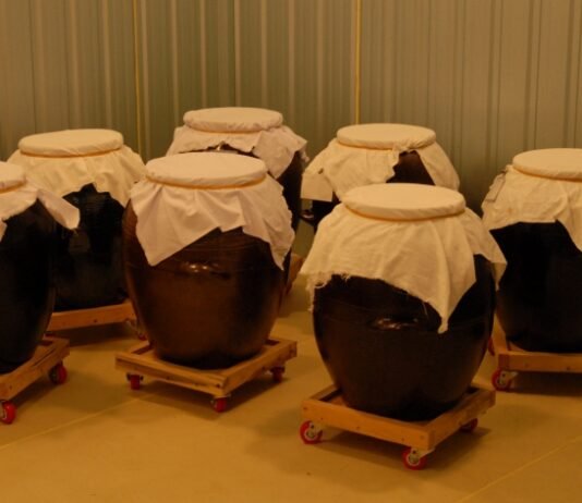 비주(飛酒) 스토리텔링 및 술 빚는 법