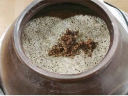 시(詩)와 꽃과 술