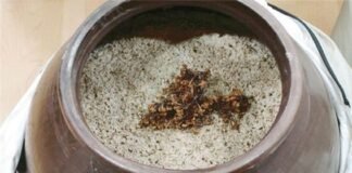 시(詩)와 꽃과 술