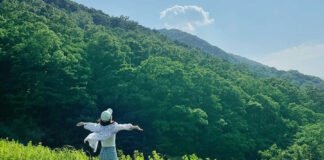 국립김천치유의숲 “사계절 아름다운 숲 속, 에너지 재충전”