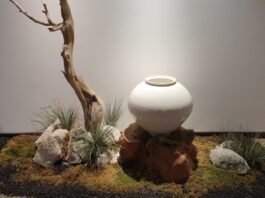 선배의 묘소를 다녀와서