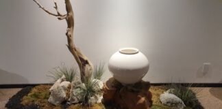 선배의 묘소를 다녀와서