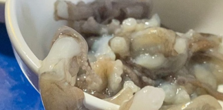 세발낙지는 다리가 셋이다?