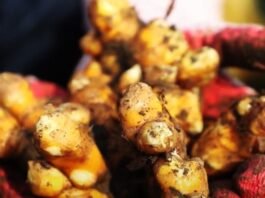 박록담의 복원전통주스토리텔링 122번 째 이야기