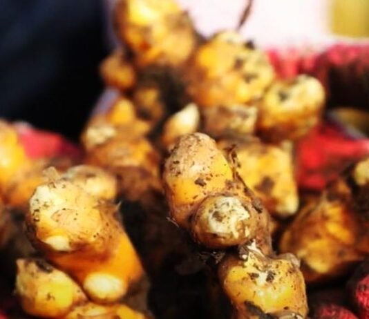 박록담의 복원전통주스토리텔링 122번 째 이야기