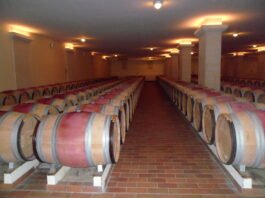 비싼 와인과 싼 와인의 차이는?