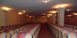 비싼 와인과 싼 와인의 차이는?