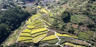 한국 농촌은 왜 가난한가!