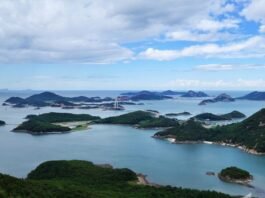 이젠 치맥을 순살 아파트로 먹어야 하나?