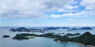 이젠 치맥을 순살 아파트로 먹어야 하나?