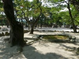 포석정에 얽힌 술에 대한 단상