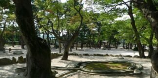 포석정에 얽힌 술에 대한 단상